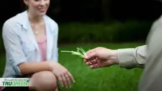 Seasonal Lawn Care | Lawn Maintenance Schedule for a Healthy Yard