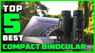 Best Compact Binoculars to Buy in 2023 - Top 5 Compact Binoculars Review