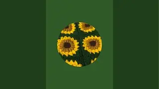 Crochet For Beginners is live