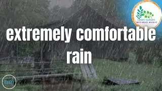 White noise Pretty rain and explosion in the woods ⚡, extremely satisfied rain and unwind rest