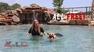 When Only The Best Will Do For Your Dog-PlayStayTion Pet Resort