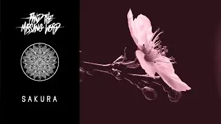 Find The Missing Word | Sakura | Visualiser