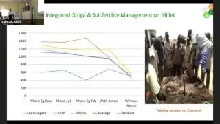 Appropriate approach for scaling up proven technologies of Pearl Millet and Sorghum systems in Mali