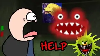 WHAT THE HECK IS 