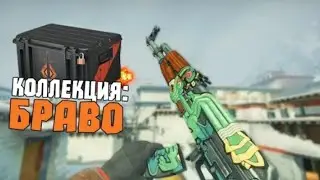 Коллекция 