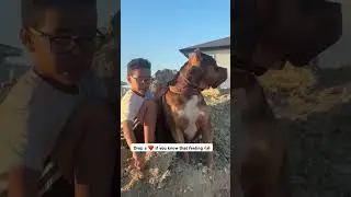 His first best friend, and the best one 🥹 #imnotcryingyouare #wholesome #unbreakablebond #dogworld