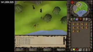 2004Scape 200M Woodcutting Grind