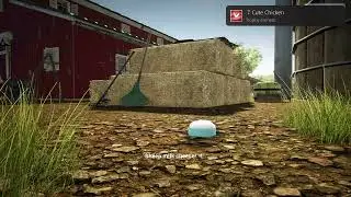 Cute Chicken achievement in Animal Doctor