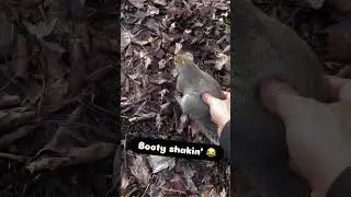 Booty shakin&rsquo; 😂