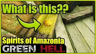 There is a super SECRET gold ARTEFACT in Spirits of Amazonia - Green Hell