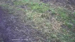 river work