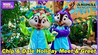 Chip & Dale Holiday Dinosaur Meet & Greet at Disney&rsquo;s Animal Kingdom 2024 - Walt Disney World