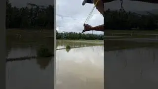 Almost ...
