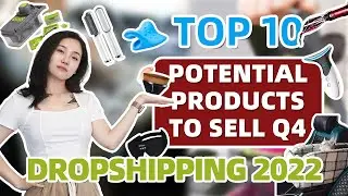 Top 10 Highly Potential Dropshipping Products for Q4 2022