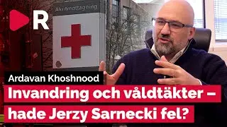Forskaren Ardavan Khoshnood: D&auml;rf&ouml;r &auml;r invandrare &ouml;verrepresenterade i sexualbrott
