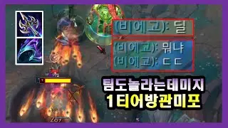 데미지보고 팀원이 놀람! 안하면 손해 현시점 1티어 방관미포