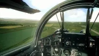 Fox Rolling : Right wing view