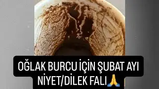 OĞLAK BURCU İÇİN ŞUBAT AYINA ÖZEL NİYET/DİLEK FALI 🙏#oğlakburcu #kahvefalı #fal #tarot #şubat 