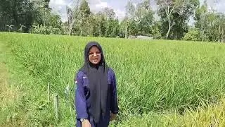 Tugas video: Miftahul Rahmi (3723037) Waneka Utari (3723044) Shinta Rizqia Amelia (3723050)