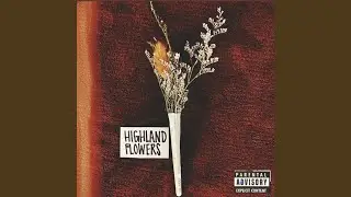 Highland Flowers