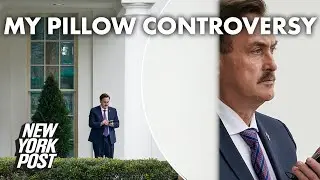 My Pillow reportedly dropped by big retailers over Mike Lindell&rsquo;s Trump visit | New York Post