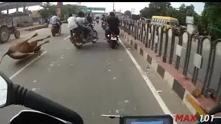 Royal Enfield Crash | INDEPENDENCE DAY RIDE | bullet accident of cow 🥺 on road chhapri crash a bike