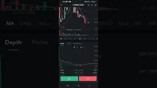 New Coin (Crypto) Blockchains Kittens NFT (BKN) has been listed On MEXC