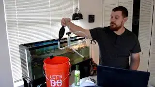 How To Clean A Turtle Tank