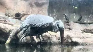 The Florida Aquarium