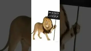 PMLN SUPPORTER #ytshorts #nawazshreef