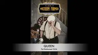 MACADAM FARMER FAT BOTTOMED GIRLS