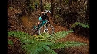 Whakarewarewa Forest, Rotorua