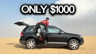 I Bought And Saved 26 Junkyard Cars [V1]
