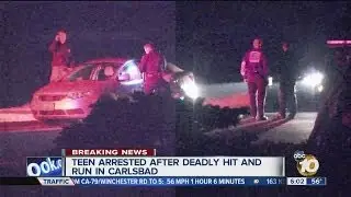 Carlsbad teen accused of hit-and-run, arrested for felony DUI