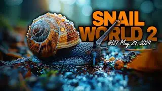 Snail World | Beat 127 | 2024 | Chill Guitar Instrumental 4K