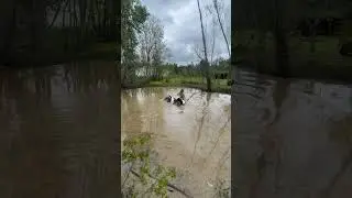 snorkel testing