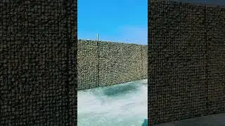 Hey guys, look here!