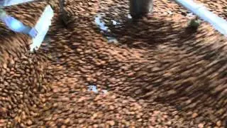 Sweet roast Thai coffee beans
