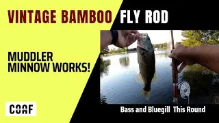 Can a Bamboo Fly Rod and Muddler Minnow Combo Catch Fish...!