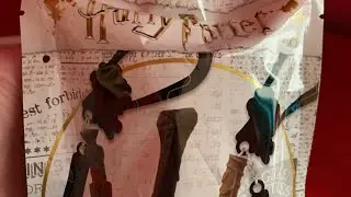Harry Potter Backpack Buddies mystery bags.