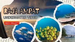 Raja Ampat Indonesia scuba diving with Papua Explorers, Manta's Dolphins, Sweet lips 2023. OM1