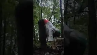 #forestyoga