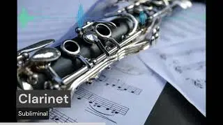 𝕮𝖑𝖆𝖗𝖎𝖓𝖊𝖙-𝖎𝖋𝖎𝖈𝖆𝖙𝖎𝖔𝖓 || Clarinet subliminal
