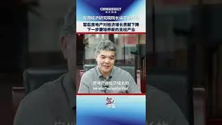Expert suggests cultivating new pillar industries to offset the property downturn