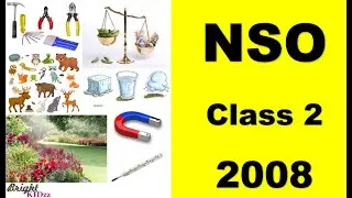 Grade 2 - 2008 - NSO - Answers explained