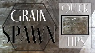 Quick Tips: Grain Spawn Too Wet