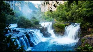 Perfect Sooth Forest Sounds Early Morning 🪻 Gentle River Sound and Birdsong, Turquoise River Stream