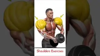 Best Shoulder Day Exercises Routine #shoulder #shoulderday #shoulderexercise