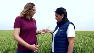 Recite zbogom korovima i bolestima uz Tomigan&reg; XL i fungicid Custodia&reg;