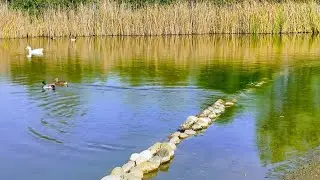 picnik en un sitio maravilloso  بيكنيك في الطبيعة مع صديقتي